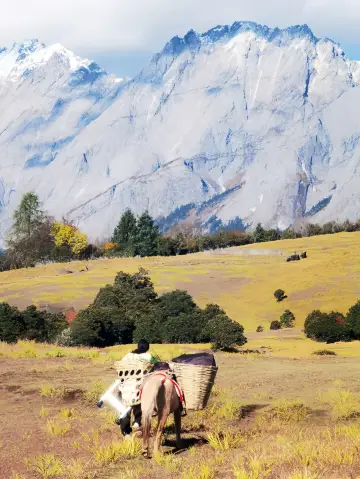 看層林盡染油畫般的「香格里拉」。