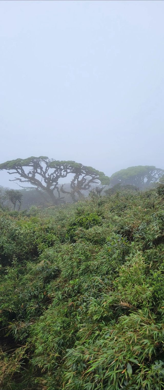 聖堂山
