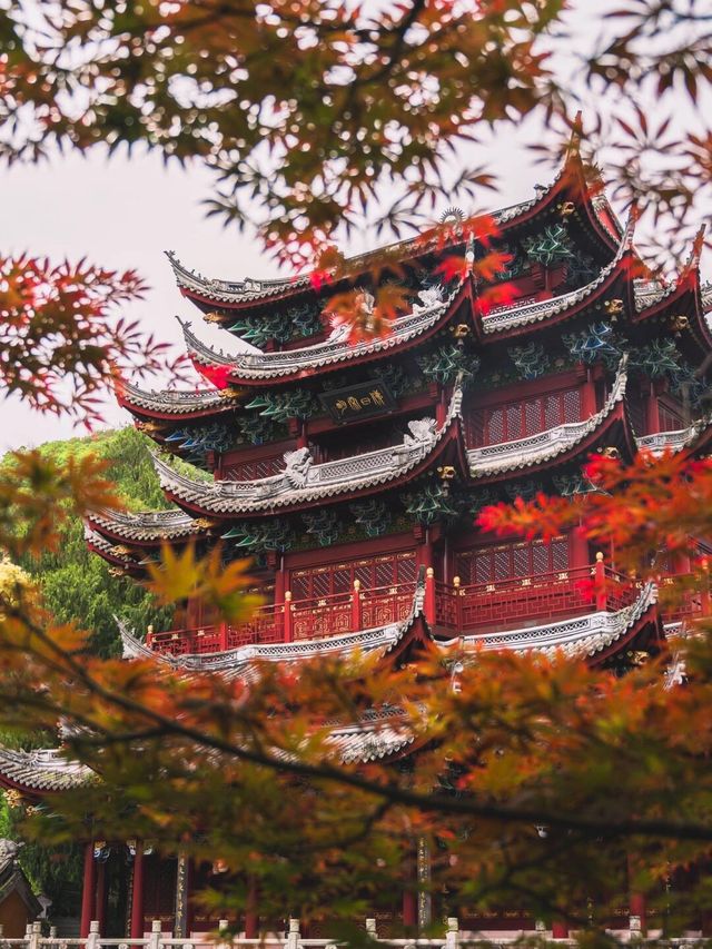 天台人嘴巴真嚴!高鐵直達,寶藏冷門朝聖之旅 天台人嘴巴真嚴!高鐵直達,寶藏冷門朝聖之旅