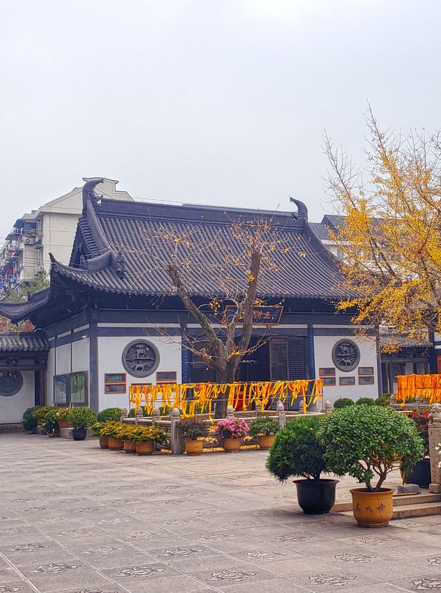 真如鎮，雖陷水泥森林中，唯這方淨土依舊