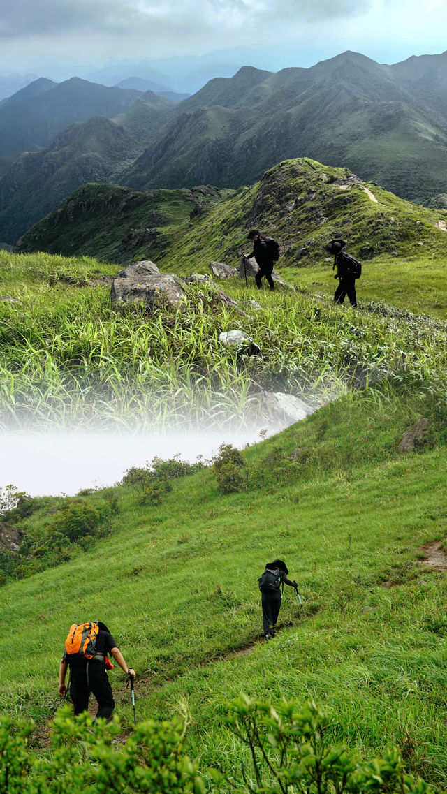 夏日徒步旅行目的地，感受山頂的風和陽光