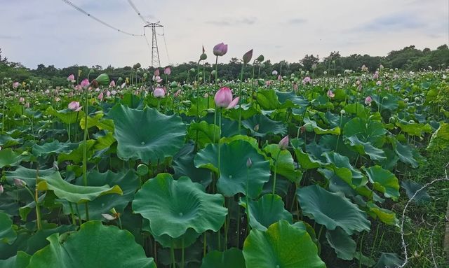 木蘭天池，夏日溯溪遛娃好去處！