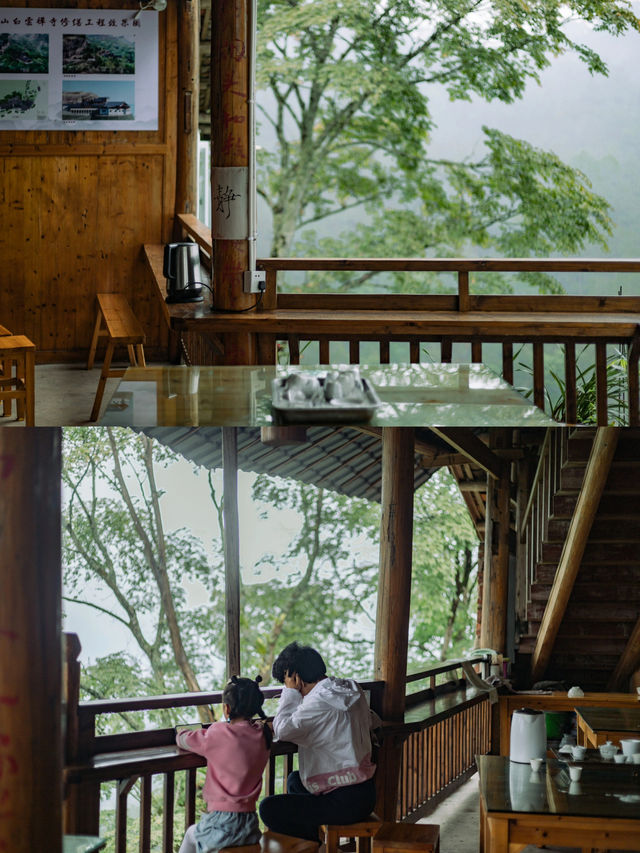 武夷山清涼去處|夏日進山探幽烹茶，漫遊茶谷