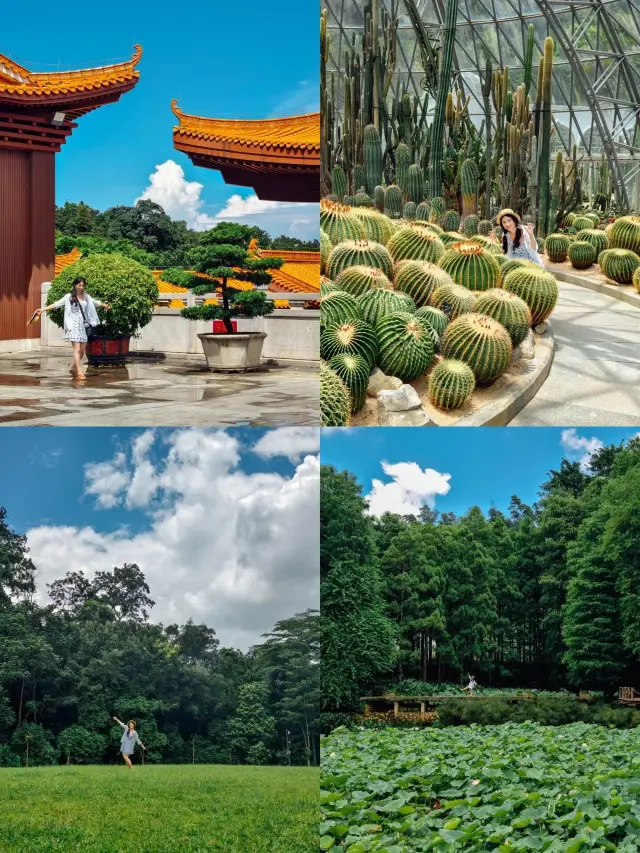 仙湖植物園&弘法寺一日遊攻略附地圖||
