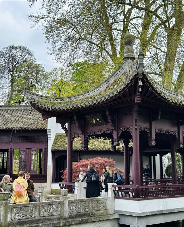 It seems as if I haven't left the country, as I find myself in a Chinese garden in Frankfurt. I am bewildered. 😵