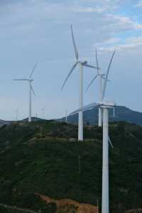 新出爐的岱山攻略海上蓬萊 2 天 1 夜旅遊