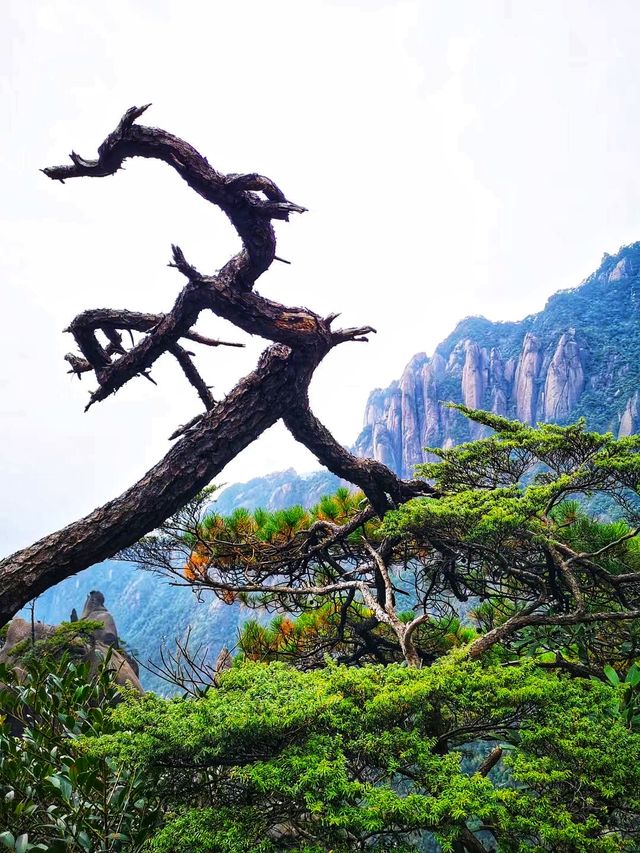 江西上饒｜素有“小黃山”之美譽的三清山風景區