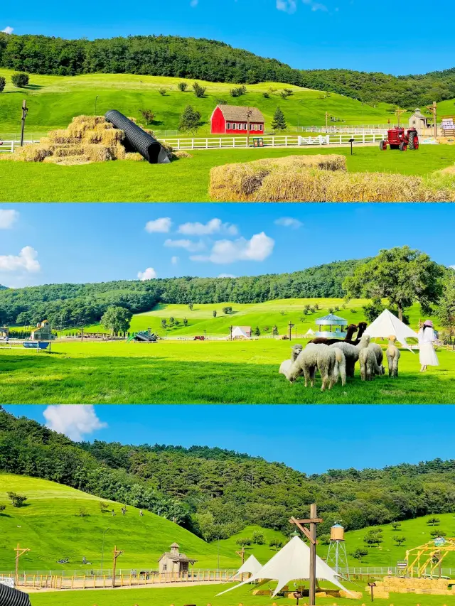 真在沈陽！！！大東北的雲端草原"阿勒泰"|||