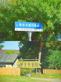 跨越大半個中國去漠河，逃離40­°C高溫太爽了