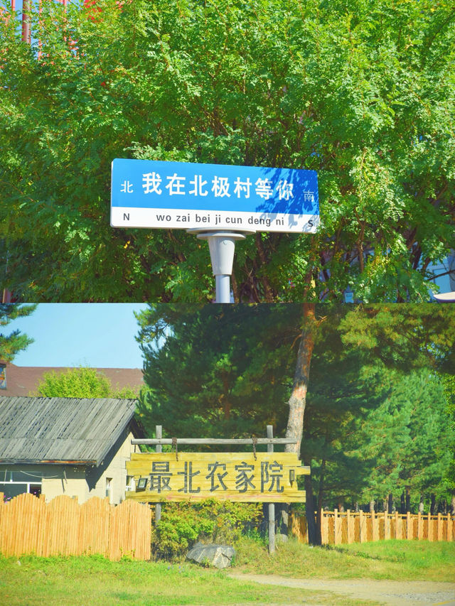 跨越大半個中國去漠河，逃離40­°C高溫太爽了