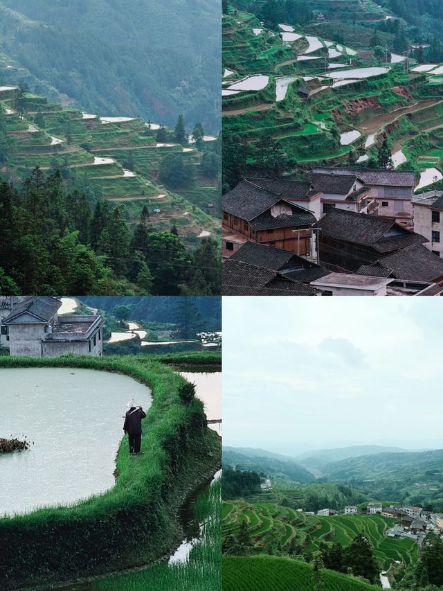 侗族生態博物館-堂安侗寨梯田