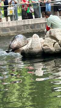 濟南動物園攻略