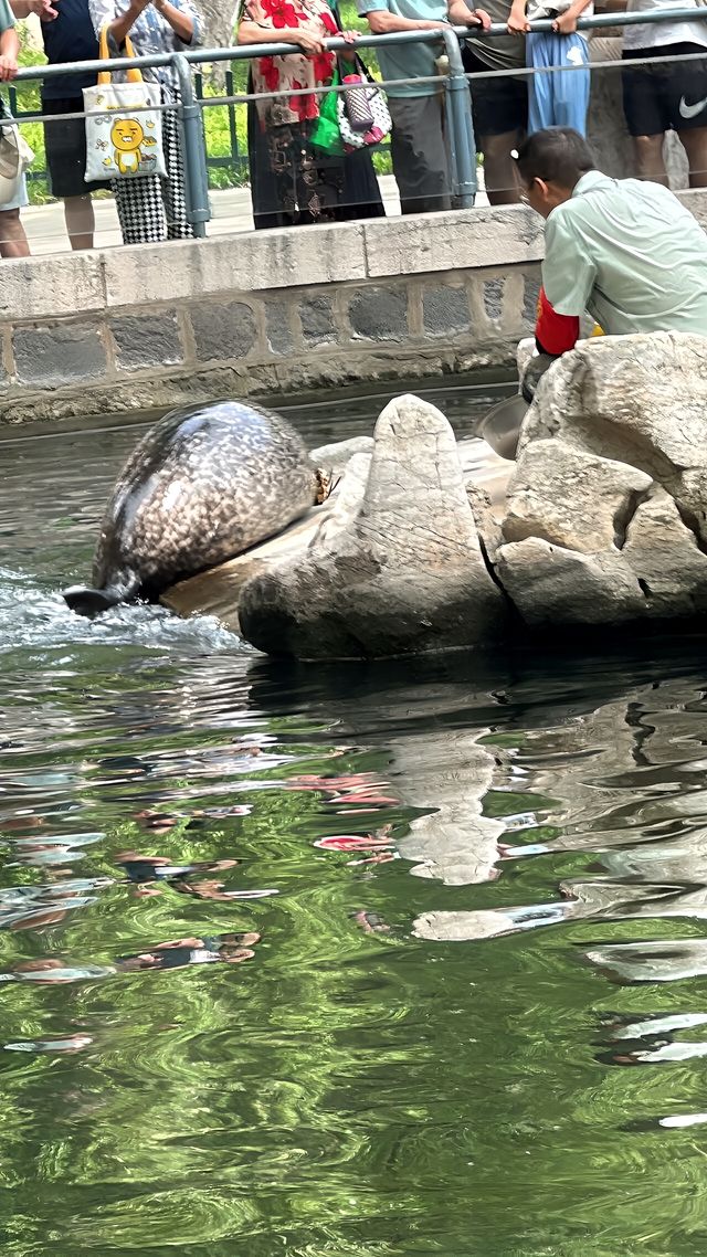 濟南動物園攻略