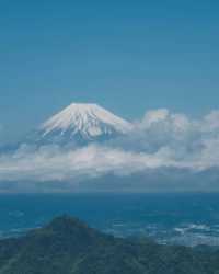 伊豆！被嚴重低估的東京周邊小城一日遊攻略🌊🏞️