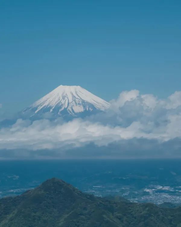 伊豆！被嚴重低估的東京周邊小城一日遊攻略🌊🏞️
