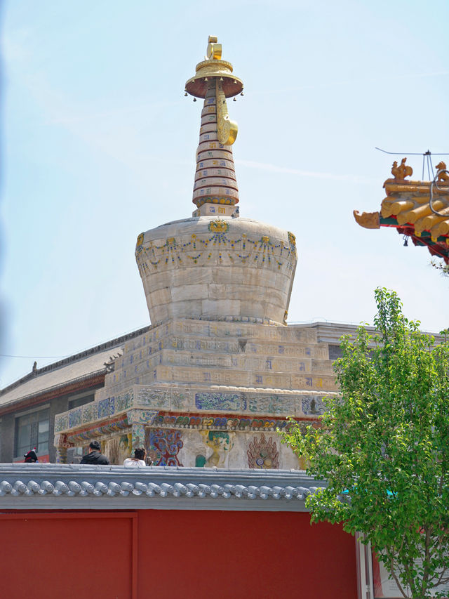 十一帶娃自駕遊，我們住進了蒙古大帽子