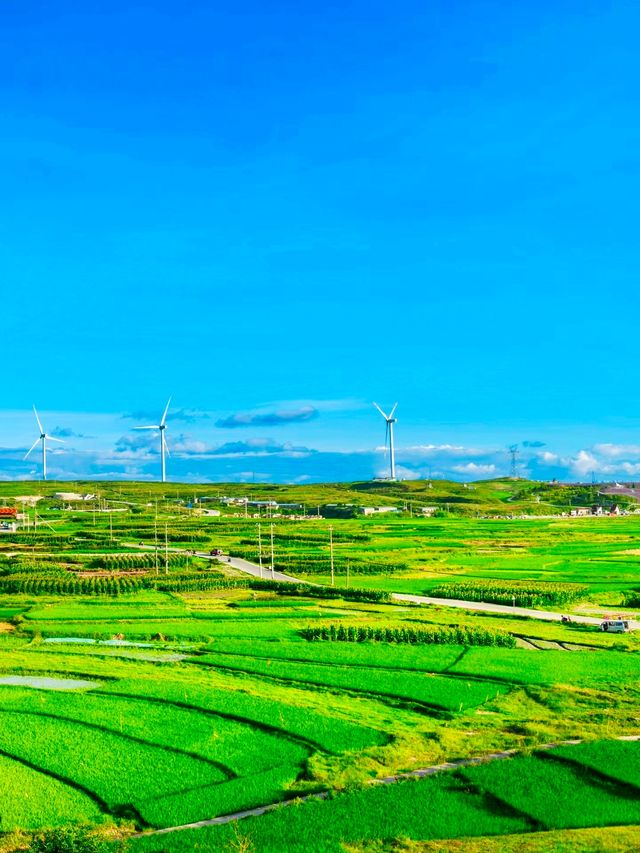 貴陽有自己的“阿勒泰”----雲頂高坡