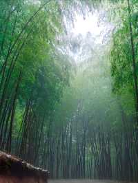 中秋出行|自駕磐安3天2晚旅遊攻略。