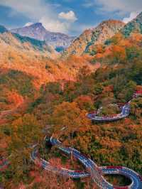 我宣布這就是四川的秋景天花板。