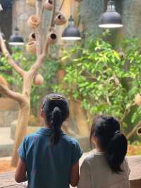 五角場全新開幕 | 隱藏在城市喧嘩中的自然之趣。