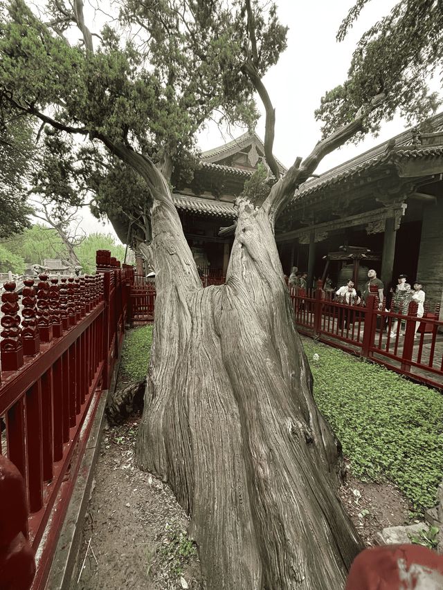 山西遊之太原。