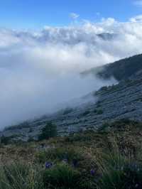 太白山|國慶出遊來太白山看慕容雲海。