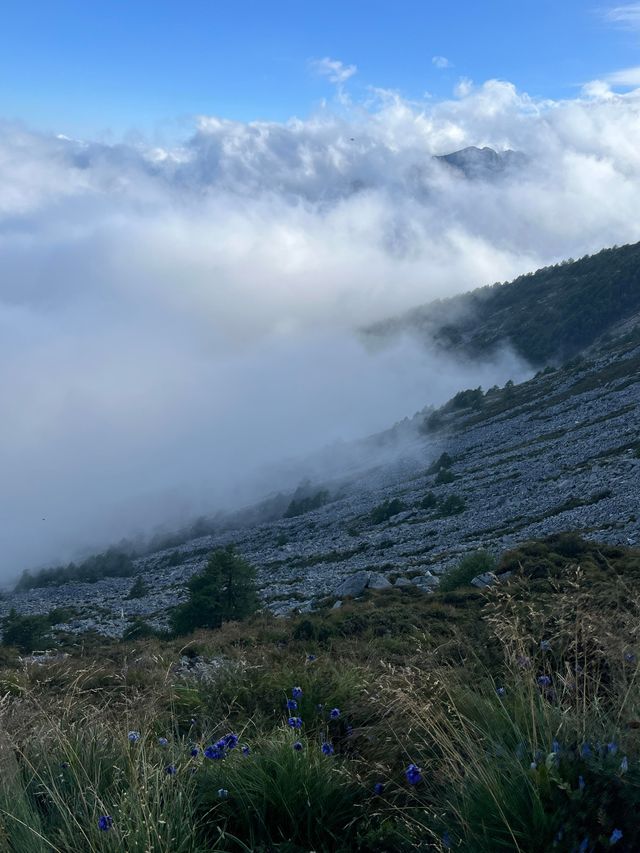 太白山|國慶出遊來太白山看慕容雲海。