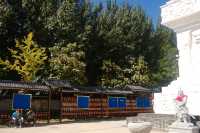 西塔寺和咖啡市集。
