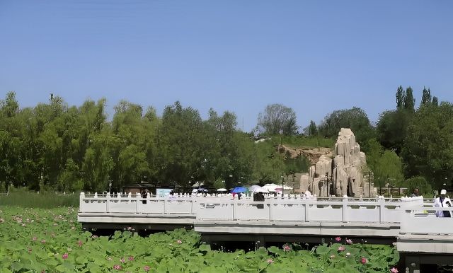 濕地之韻，白銀之美——水川濕地公園。