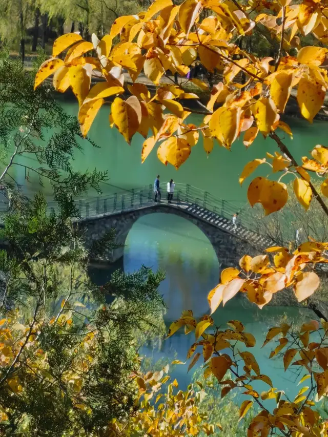 百里畫廊快衝啊！來不及了！。