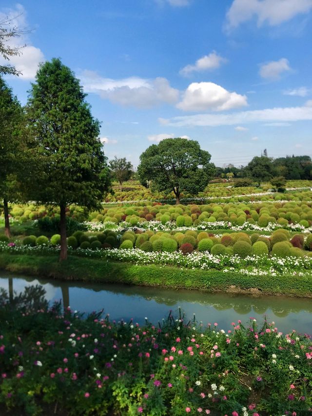 不是共青，另一個「莫奈花園」來襲！。