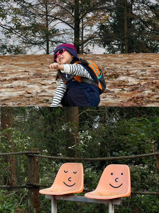 接下來的浙江堪稱秋日旅遊天花板！。