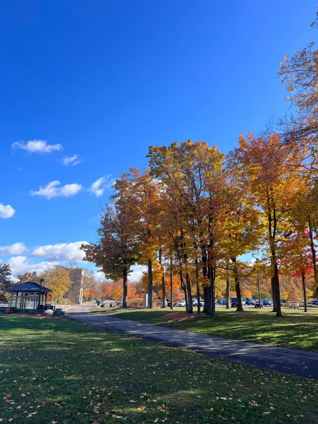 16-Day US Trip: A Great Choice for Fall!