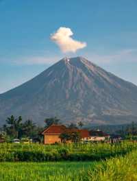 第一次去看火山奇觀啦！
