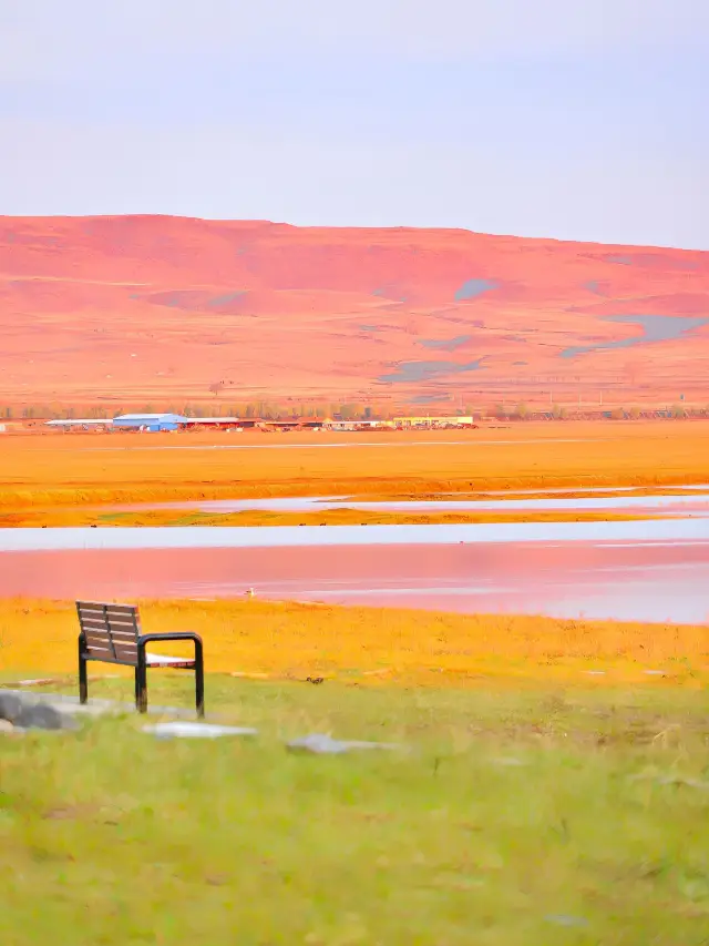 Travelogues of Hohhot, Inner Mongolia, and Other Places | Go on a City Walk.