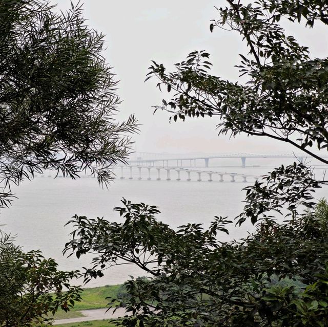 澳門機位❗️小潭山觀景臺❗️眺望新葡京❗