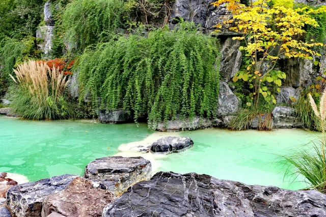 上海小九寨溝~~吳淞炮台灣國家濕地公園。