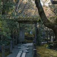 京都南禪寺：歷史與自然交織的禪意天地