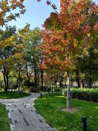 魔都新公園——半馬蘇河公園。