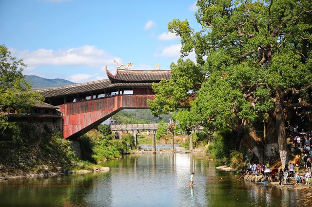 浙江溫州|遇見中國最美廊橋