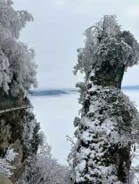 龍頭山又下雪啦天花板級別的冰雪世界！