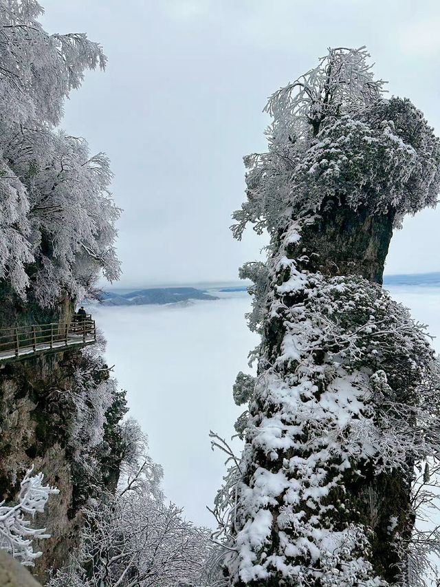 龍頭山又下雪啦天花板級別的冰雪世界！