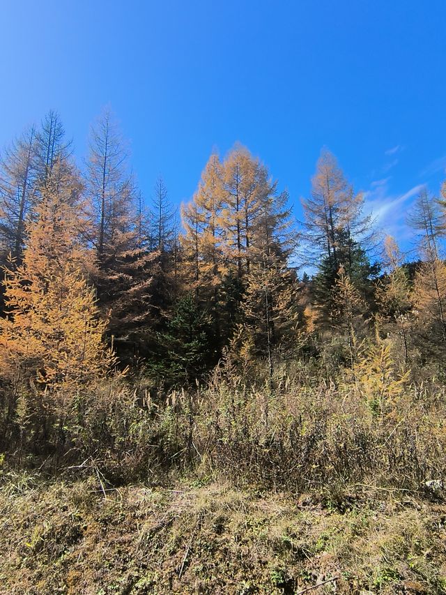 平河梁：將大地點綴成絢麗多姿的四季之美