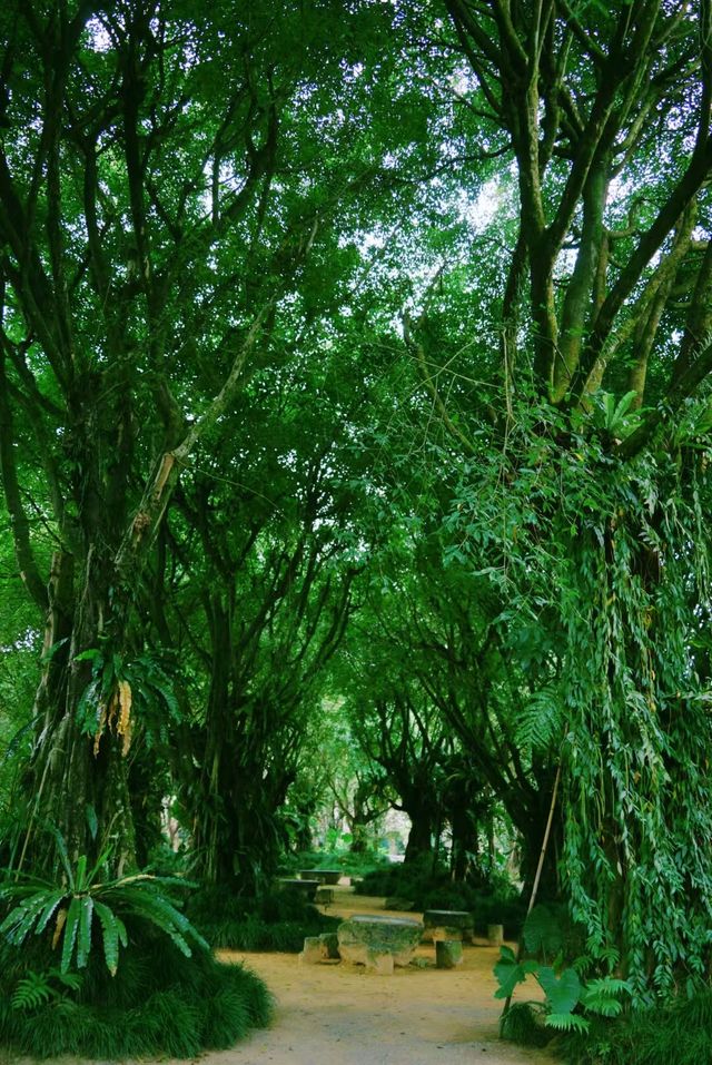 值得一看的植物園