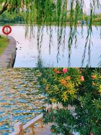 那些值得反復去的廈門公園|南湖公園