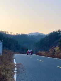 中華山鳥類省級自然保護區
