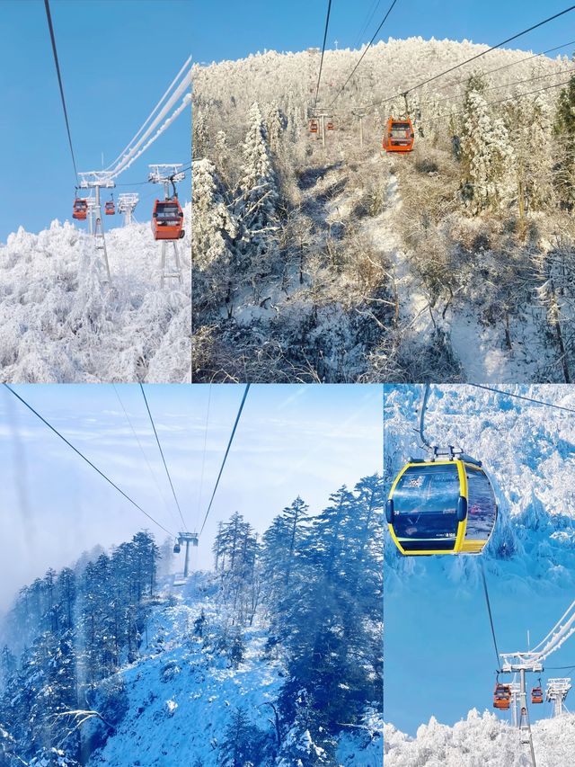 絕美雪景不能不去成都！西嶺雪山！最近真的有雪