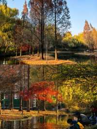 濟南森林公園，小朋友的天堂！！