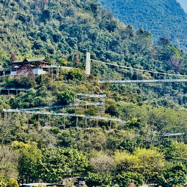 打卡清遠天鵝湖