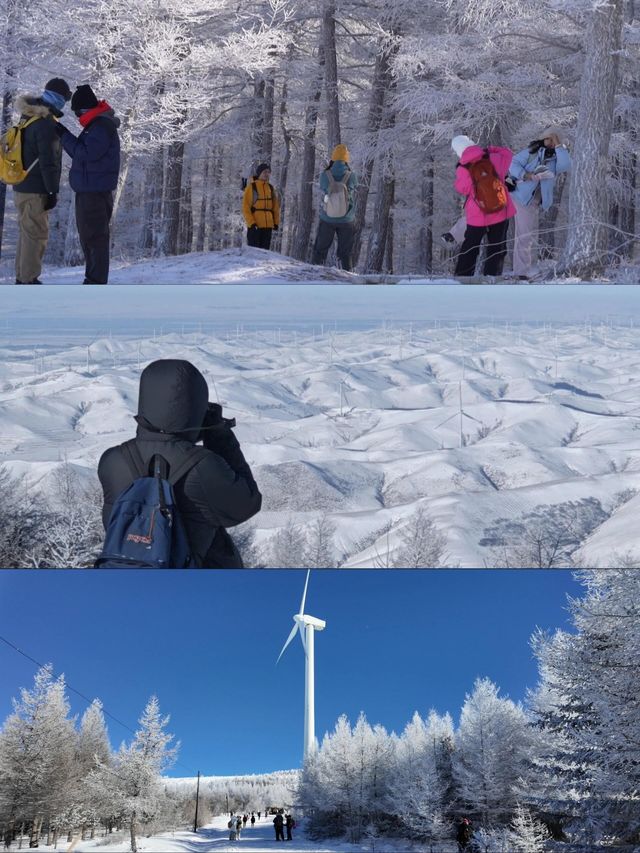 與其請假去新疆看雪，不如周末到河北